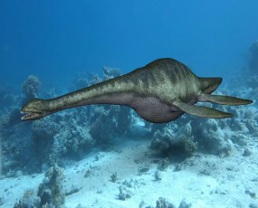 長頸巨獸一一薄板龍